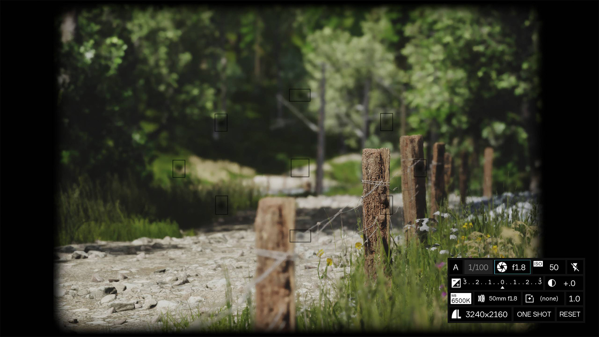 A screenshot from the camera interface in Lushfoil Photography Sim, provided to the press.